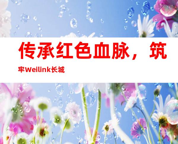 传承红色血脉，筑牢Weilink长城